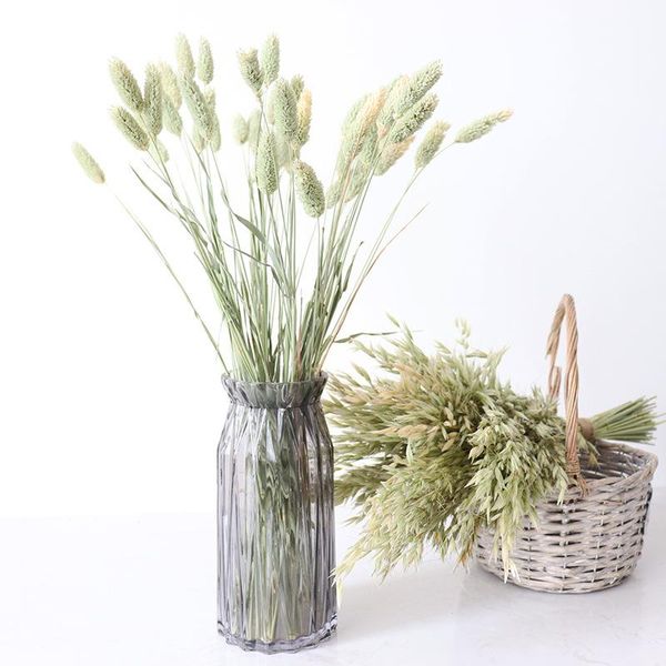 20pcs natural dried flowers color tail grass bunch real flower bouquet for home wedding pography backdrop decor decorative & wrea wreath wre
20pcs natural dried flowers color tail grass bunch real flower bouquet for home wedding pography backdrop decor decorative & wrea wreath wre