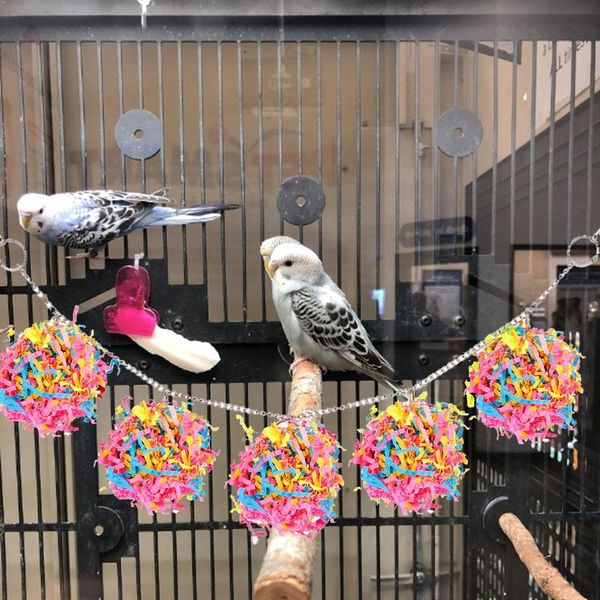 10pcs/lot color drawing sepak takraw toy shredded paper parrot chewing teeth bird cage accessories decoration cages
10pcs/lot color drawing sepak takraw toy shredded paper parrot chewing teeth bird cage accessories decoration cages