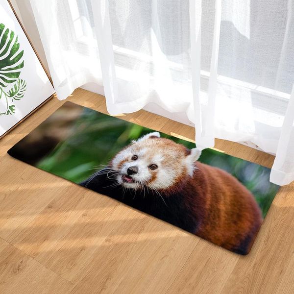 carpets 3d printed animal raccoon doormat anti-slip door mat water absorption kitchen carpet long size outdoor floor
carpets 3d printed animal raccoon doormat anti-slip door mat water absorption kitchen carpet long size outdoor floor