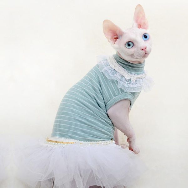 cat costumes sphynx clothes spring summer thin anti-hair loss lace princess dress pet skirt cute for cats
cat costumes sphynx clothes spring summer thin anti-hair loss lace princess dress pet skirt cute for cats
