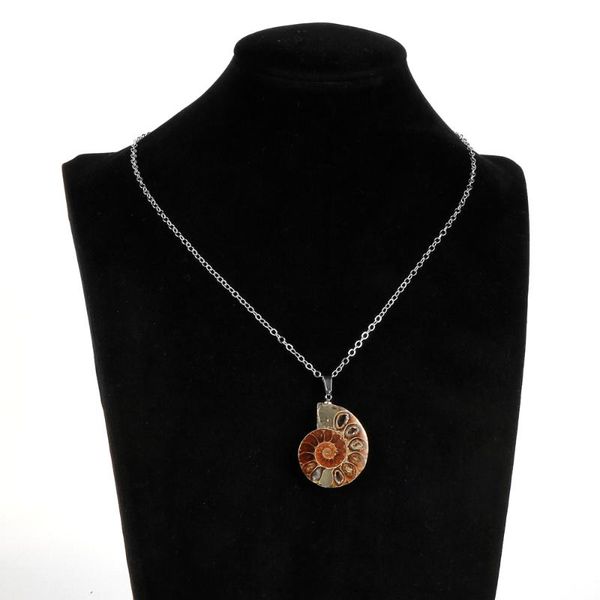 natural stone ammonite fossils seashell snail pendant necklace jewelry men women ocean reliquiae conch animal clavicle chain necklaces, Silver
natural stone ammonite fossils seashell snail pendant necklace jewelry men women ocean reliquiae conch animal clavicle chain necklaces, Silver