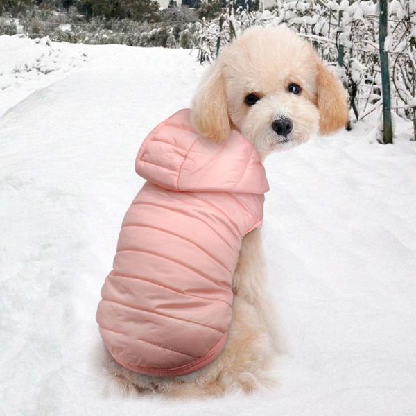 dog apparel pet chihuahua pug clothes coat yorkshire winter warm perro jacket for ropa schnauzer clothing medium small puppy dogs
dog apparel pet chihuahua pug clothes coat yorkshire winter warm perro jacket for ropa schnauzer clothing medium small puppy dogs