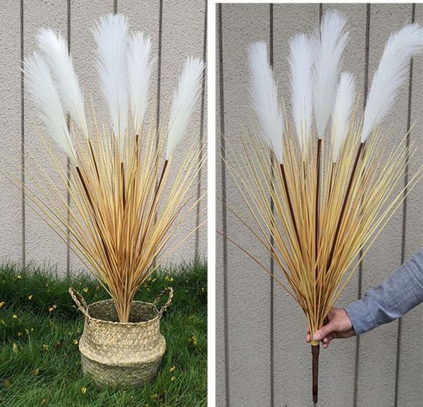 decorative flowers & wreaths artificial plant simulation single reed grass green potted forest wedding flower bunch dog tail silk
decorative flowers & wreaths artificial plant simulation single reed grass green potted forest wedding flower bunch dog tail silk