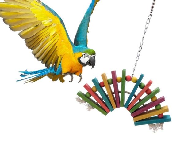 bird cages parrot toys colorful wood bite string tiger skin little sun eight big brother
bird cages parrot toys colorful wood bite string tiger skin little sun eight big brother