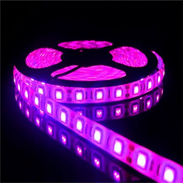 strips dc12v led strip romantic pink flexible light 60led/m,5m/lot ip65 waterproof tape holiday christmas decroation lights
strips dc12v led strip romantic pink flexible light 60led/m,5m/lot ip65 waterproof tape holiday christmas decroation lights