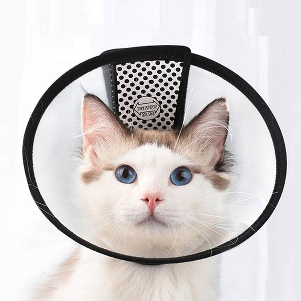 cat collars & leads pet protective grooming cover wound healing anti-bite translucent ring collar for dog shield bath accessories
cat collars & leads pet protective grooming cover wound healing anti-bite translucent ring collar for dog shield bath accessories