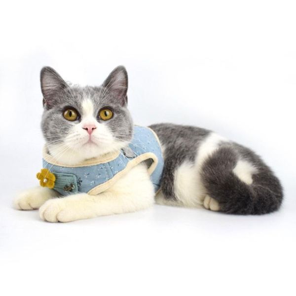 dog collars & leashes pet leash small and medium breathable mesh cotton korean version of square vest puppy cat chest strap
dog collars & leashes pet leash small and medium breathable mesh cotton korean version of square vest puppy cat chest strap