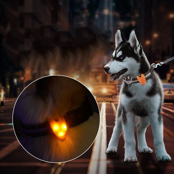 led dog collar luminous glowing personalized pet night light pendant security illuminated supplies accessories collars & leashes
led dog collar luminous glowing personalized pet night light pendant security illuminated supplies accessories collars & leashes