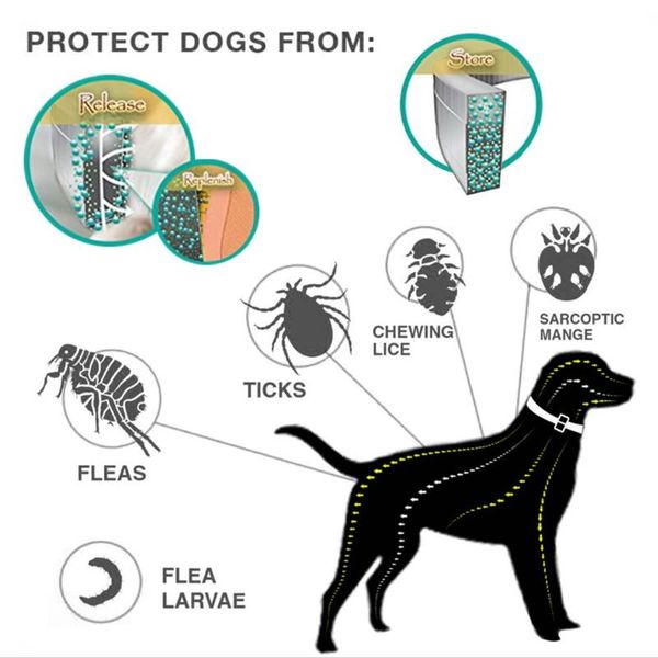 dog collars & leashes collar eliminating flea and tick prevention repellent for pet natural pest removing oil
dog collars & leashes collar eliminating flea and tick prevention repellent for pet natural pest removing oil
