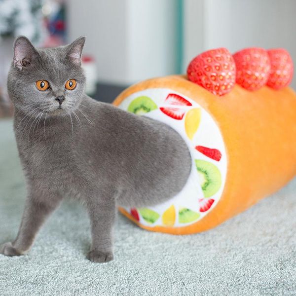 soft cat dog bed cute creativity fruit egg tart roll shape mat winter warm plush cushion beds & furniture
soft cat dog bed cute creativity fruit egg tart roll shape mat winter warm plush cushion beds & furniture
