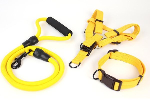 dog collars & leashes pet traction neck ring chest back tape three sets adjustable nylon rope size general
dog collars & leashes pet traction neck ring chest back tape three sets adjustable nylon rope size general