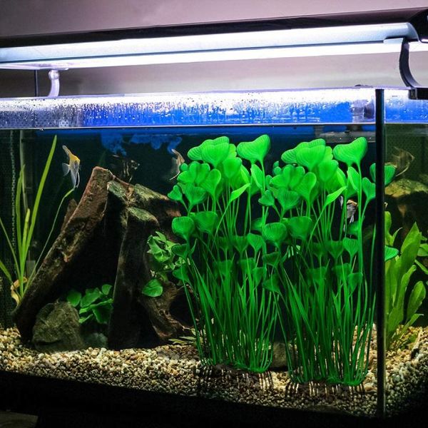 artificial plants, exquisite, safe, non-toxic and soft simulation aquarium plastic aquatic plants decoration ornaments decorations
artificial plants, exquisite, safe, non-toxic and soft simulation aquarium plastic aquatic plants decoration ornaments decorations