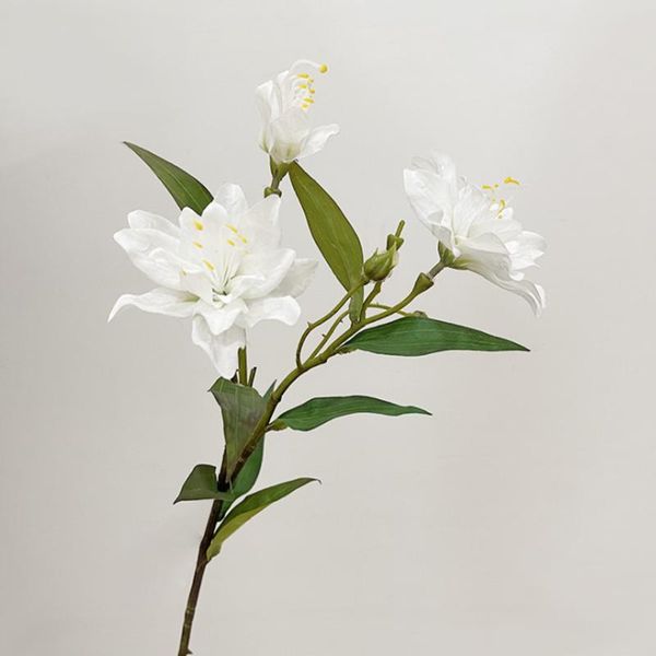 decorative flowers & wreaths luxury silk fake lily branch 60cm wedding decoration double petal artificial flower beautiful elegant nordic st
decorative flowers & wreaths luxury silk fake lily branch 60cm wedding decoration double petal artificial flower beautiful elegant nordic st