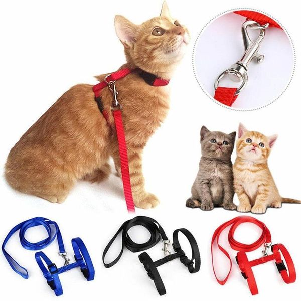 cat collars & leads dog collar harness leash adjustable nylon pet traction kitten halter product belt accessories
cat collars & leads dog collar harness leash adjustable nylon pet traction kitten halter product belt accessories