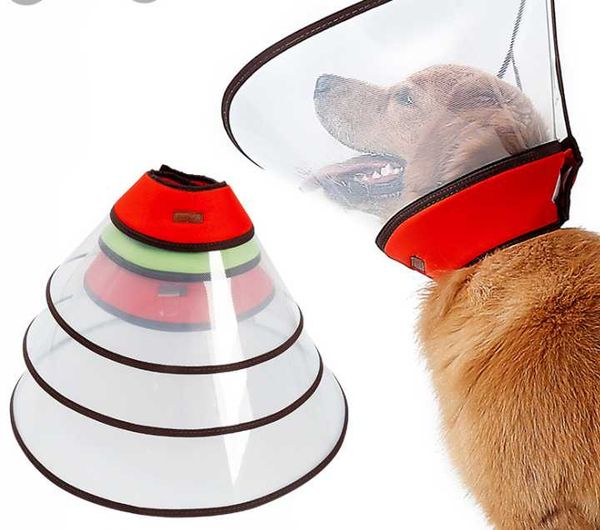 dog apparel pet lengthen elizabeth circle big collar anti-bite flood prevention protecting mask supplies
dog apparel pet lengthen elizabeth circle big collar anti-bite flood prevention protecting mask supplies