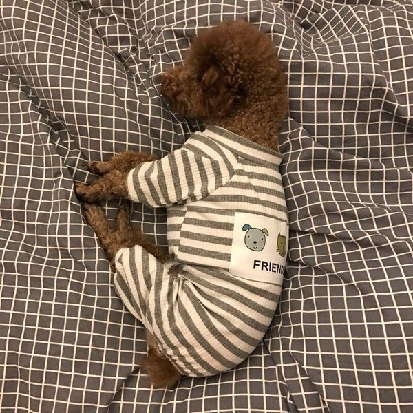 dog apparel cute small pajamas for dogs cats clothes pet puppy stripes jumpsuit coat chihuahua pug clothing
dog apparel cute small pajamas for dogs cats clothes pet puppy stripes jumpsuit coat chihuahua pug clothing