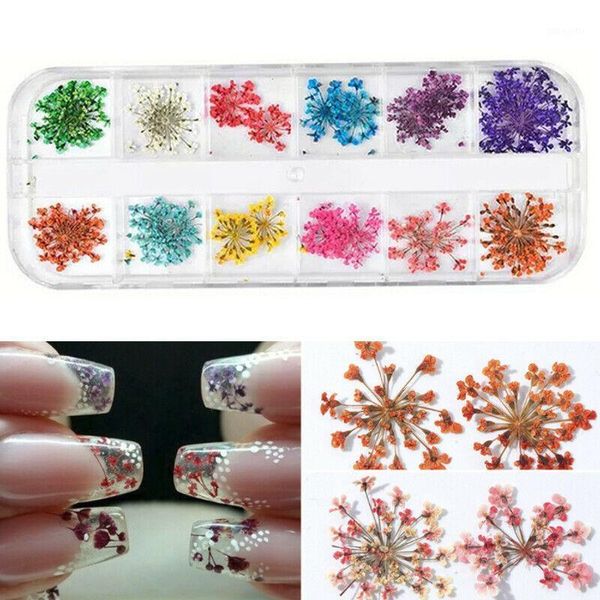 nail art decoration natural real dried flower acrylic uv gel manicure 24pcs/box1, Silver;gold
nail art decoration natural real dried flower acrylic uv gel manicure 24pcs/box1, Silver;gold