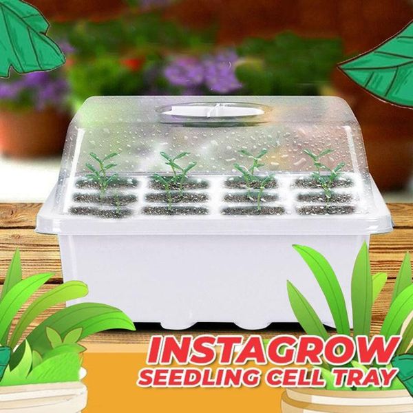 hole plant seed grows box nursery seedling starter garden yard tray large flower pot macrame pouches for seedlings planters & pots
hole plant seed grows box nursery seedling starter garden yard tray large flower pot macrame pouches for seedlings planters & pots