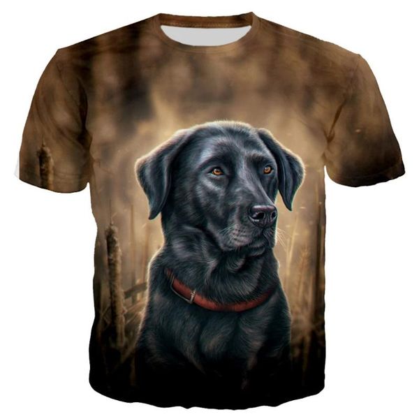 men's t-shirts 2021 3d printed greyhound incredible dog t shirt for men/women summer short sleeve tees streetwear tshirt, White;black
men's t-shirts 2021 3d printed greyhound incredible dog t shirt for men/women summer short sleeve tees streetwear tshirt, White;black