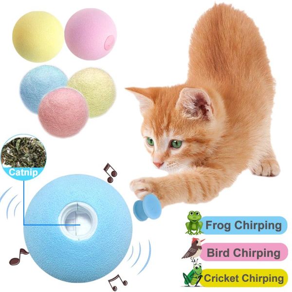 smart cat toys interactive ball training toy pet playing cute funny supplies products for cats kitty kitten
smart cat toys interactive ball training toy pet playing cute funny supplies products for cats kitty kitten