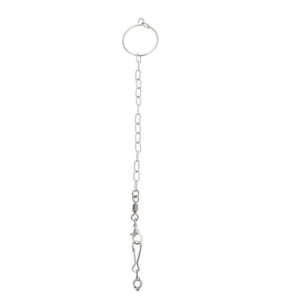 other bird supplies 1 set of stainless steel foot lock large parrot seperated anklet chain
other bird supplies 1 set of stainless steel foot lock large parrot seperated anklet chain