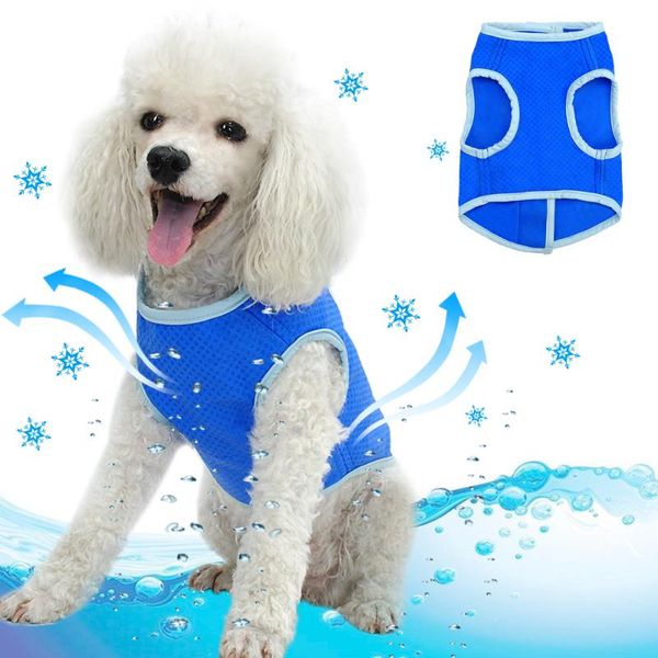 dog collars & leashes pug harness summer cool pet for small medium dogs nylon ice vest adjustable pitbull beagle
dog collars & leashes pug harness summer cool pet for small medium dogs nylon ice vest adjustable pitbull beagle