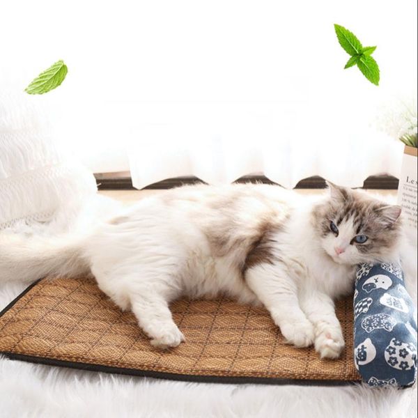 kennels & pens anti-slip neck protection rattan weaving pet cooling mat blanket cushion indoor seat cat bed dog cool
kennels & pens anti-slip neck protection rattan weaving pet cooling mat blanket cushion indoor seat cat bed dog cool