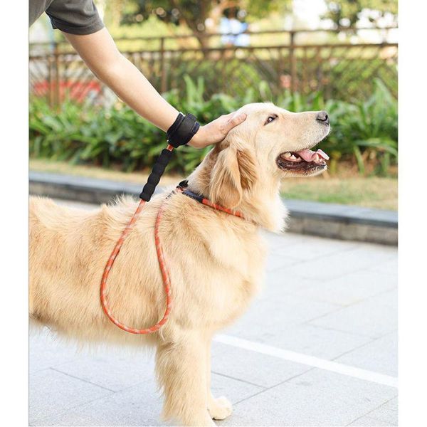 dog collars & leashes reflective nylon training traction rope pet walking round p
dog collars & leashes reflective nylon training traction rope pet walking round p