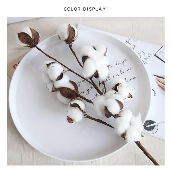 decorative flowers & wreaths natural cotton simulated flower white artificial fake living room bedroom for home wedding
decorative flowers & wreaths natural cotton simulated flower white artificial fake living room bedroom for home wedding