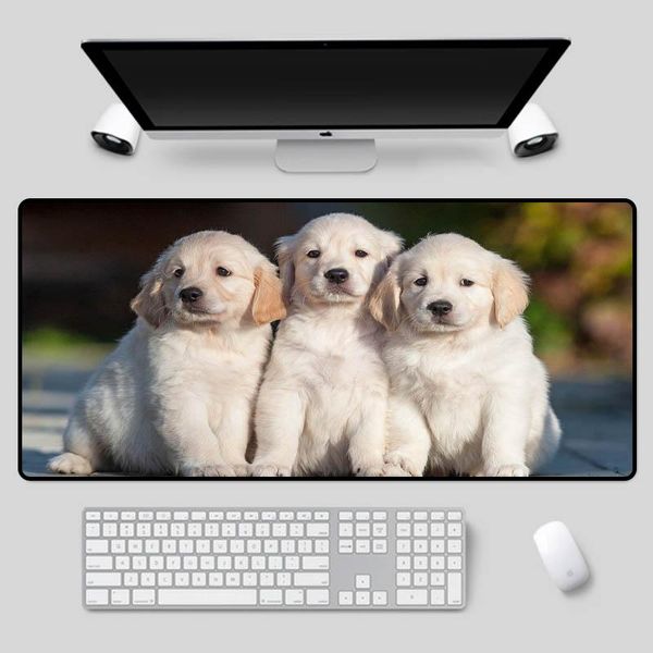 mouse pads & wrist rests xgz exquisite animal pad warm puppy three brothers series table computer office game essential keyboard
mouse pads & wrist rests xgz exquisite animal pad warm puppy three brothers series table computer office game essential keyboard