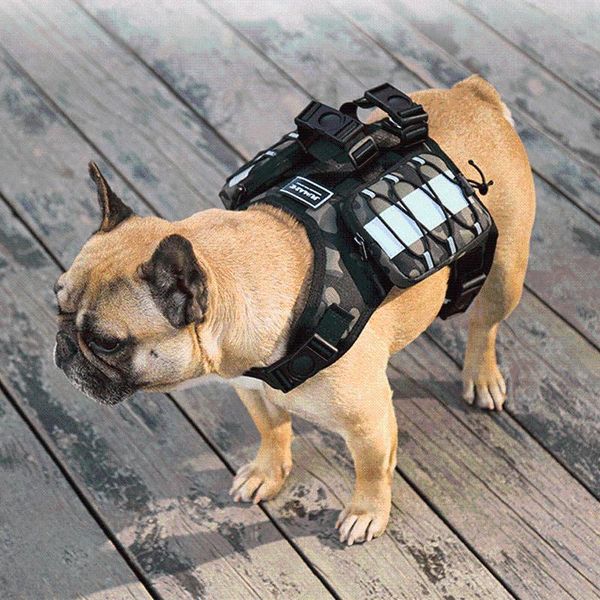 dog collars & leashes military tactical harness pet vest nylon bungee leash for small large dogs accessories k9 german
dog collars & leashes military tactical harness pet vest nylon bungee leash for small large dogs accessories k9 german