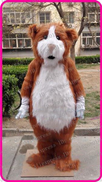 mascot costumes long fur groundhog bobac sisel hamster cricetulu susliks gopher mole talpa mascot costume movie props crew cabaret zx1, Red;yellow
mascot costumes long fur groundhog bobac sisel hamster cricetulu susliks gopher mole talpa mascot costume movie props crew cabaret zx1, Red;yellow