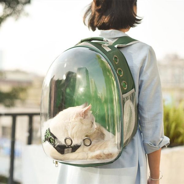 dog car seat covers astronaut outdoor carrying breathable space travel bag portable transparent pet carrier cat backpac
dog car seat covers astronaut outdoor carrying breathable space travel bag portable transparent pet carrier cat backpac
