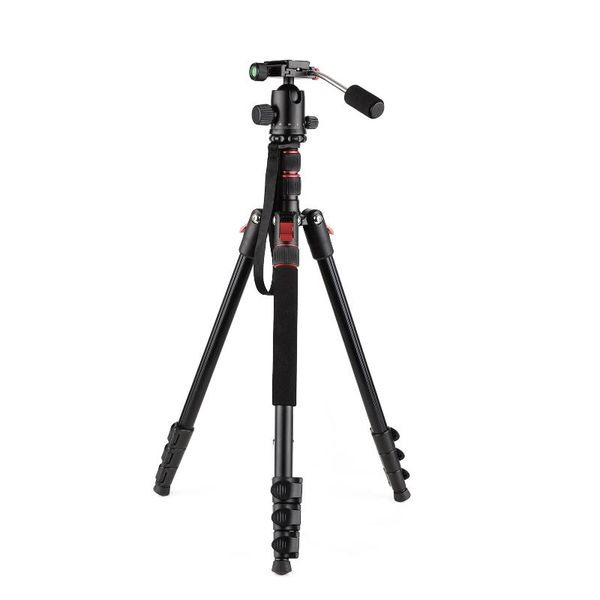 camera tripod for phone stand monopod 200cm/78.7inch 4-section adjustable 8kg payload with panoramic quick release ball head tripods
camera tripod for phone stand monopod 200cm/78.7inch 4-section adjustable 8kg payload with panoramic quick release ball head tripods