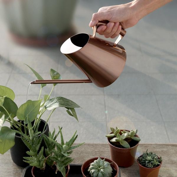 watering equipments can stainless steel pot flower waterers bottle sprinkler portable household potted plant garden tool
watering equipments can stainless steel pot flower waterers bottle sprinkler portable household potted plant garden tool