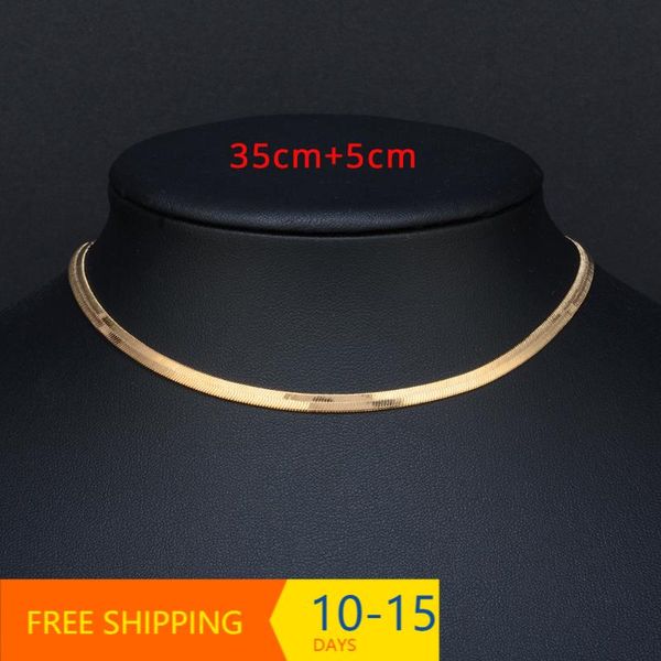 chokers punk flat blade snake link chain choker necklace gold silver color stainless steel neck chains for women jewelry chocker 2021, Golden;silver
chokers punk flat blade snake link chain choker necklace gold silver color stainless steel neck chains for women jewelry chocker 2021, Golden;silver