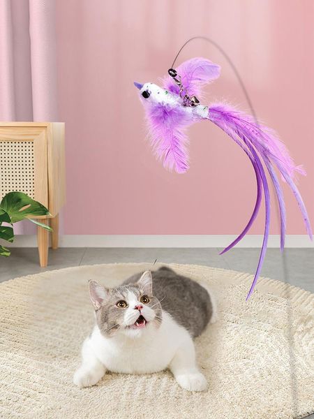 cat toys funny stick simulation bird feather self-hey interactive toy can replace the head extension rod pet
cat toys funny stick simulation bird feather self-hey interactive toy can replace the head extension rod pet