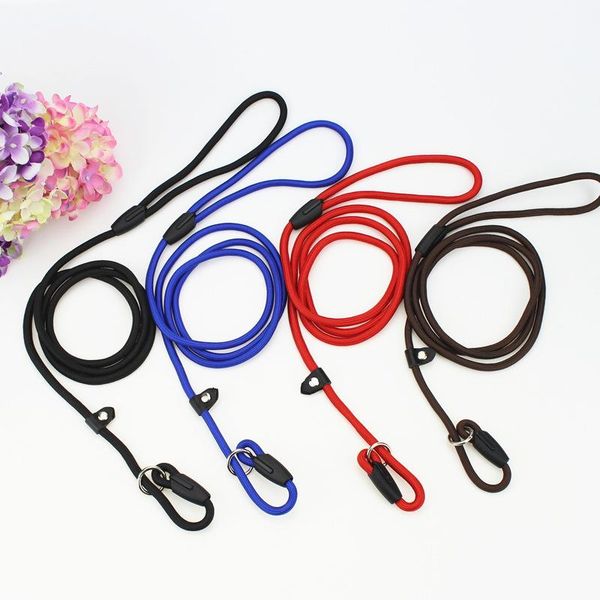 dog collars & leashes small leash and nylon traction rope nella pet p chain belt walkdog harness
dog collars & leashes small leash and nylon traction rope nella pet p chain belt walkdog harness