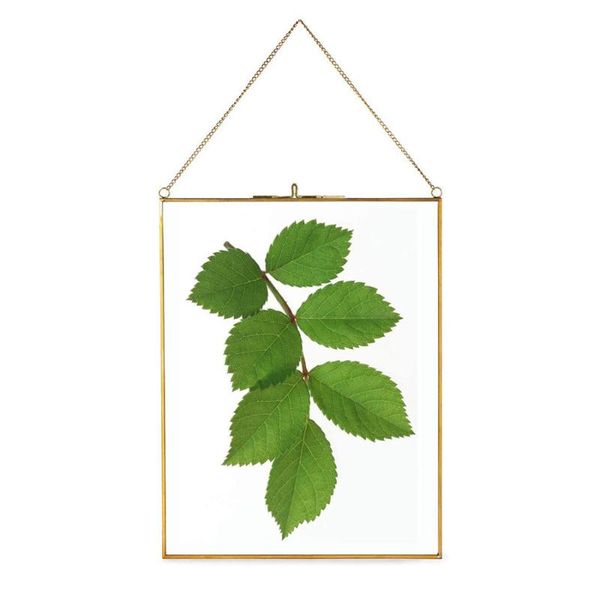 frames brass hanging po frame, copper glass picture clip modern wall decor plant specimen artwork display gold a4 size
frames brass hanging po frame, copper glass picture clip modern wall decor plant specimen artwork display gold a4 size