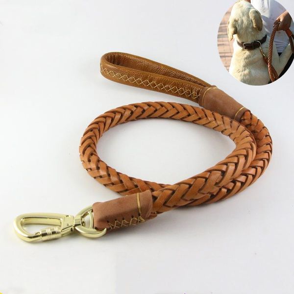 dog collars & leashes rolled leather leash for small medium dogs braided puppy cat pet walking leads brown color 1.1m long
dog collars & leashes rolled leather leash for small medium dogs braided puppy cat pet walking leads brown color 1.1m long