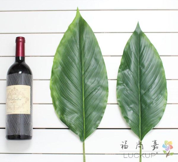 beautiful artificial big green leaf plastic plant home decoration f557 decorative flowers & wreaths
beautiful artificial big green leaf plastic plant home decoration f557 decorative flowers & wreaths
