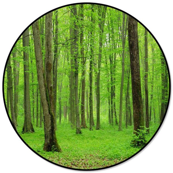 carpets plant green forest pattern round children area rug floor mat living room bedroom carpet coffee table
carpets plant green forest pattern round children area rug floor mat living room bedroom carpet coffee table