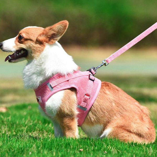 pet harness leash set adjustable breathable dog cat harnesses vest puppy chest strap nylon mesh for small collars & leashes
pet harness leash set adjustable breathable dog cat harnesses vest puppy chest strap nylon mesh for small collars & leashes