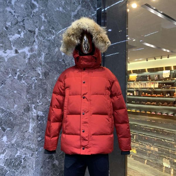 designer parka men woman classic down jackets zipper couples coats casual outdoor warm feather winter clothing outerwear red, Black
designer parka men woman classic down jackets zipper couples coats casual outdoor warm feather winter clothing outerwear red, Black
