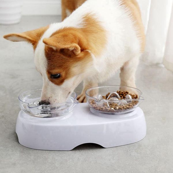 plastic cat feeder bowls neck protection dish 15 degree tilted double water bowl and maze & feeders
plastic cat feeder bowls neck protection dish 15 degree tilted double water bowl and maze & feeders