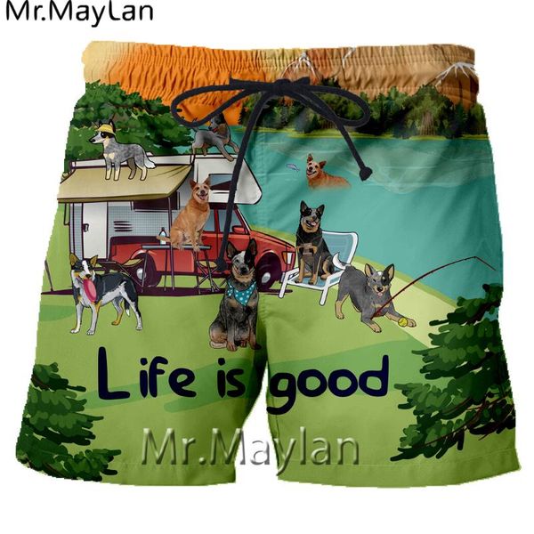 style summer men board shorts 3d printed funny dogs fife is good fashion men's bermuda beach trousers 6xl 7xl quick dry, White;black
style summer men board shorts 3d printed funny dogs fife is good fashion men's bermuda beach trousers 6xl 7xl quick dry, White;black