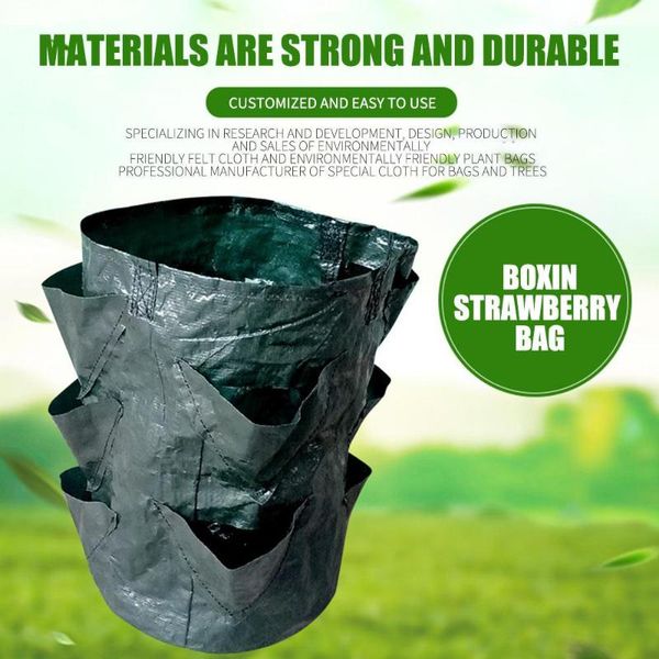 planters & pots 3 gallons plastic spring flower planting bag strawberry practical creative vegetable sweet potato
planters & pots 3 gallons plastic spring flower planting bag strawberry practical creative vegetable sweet potato