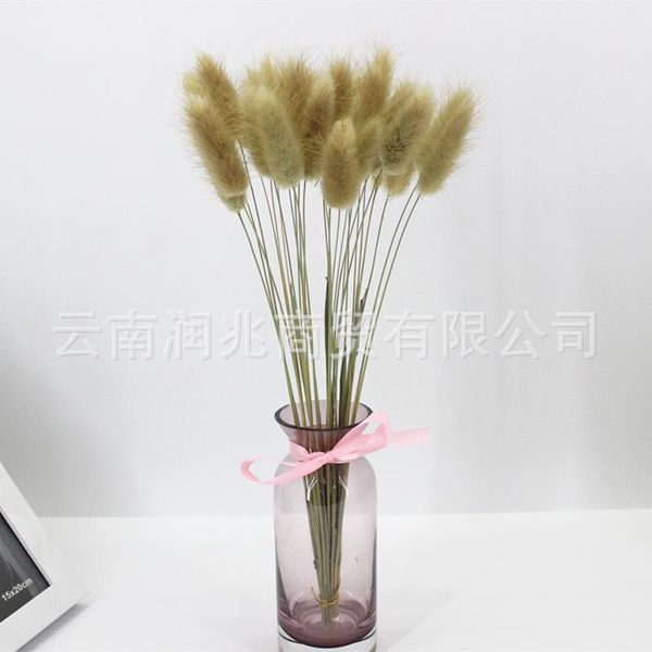 decorative flowers & wreaths tail grass home decor furnishings naturally dried graduation bouquet real eternal
decorative flowers & wreaths tail grass home decor furnishings naturally dried graduation bouquet real eternal