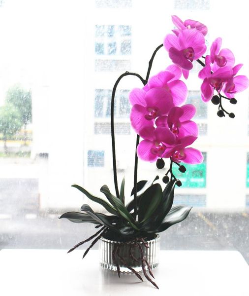 1set flower +vase artificial orchid arrangement bonsai real touch silicon leaf glass vase decorative flowers & wreaths
1set flower +vase artificial orchid arrangement bonsai real touch silicon leaf glass vase decorative flowers & wreaths