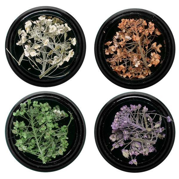 box pressed dried flower dry plants epoxy uv resin pendant necklace jewelry making craft diy nail art decoration scrapbooking decorative flo
box pressed dried flower dry plants epoxy uv resin pendant necklace jewelry making craft diy nail art decoration scrapbooking decorative flo